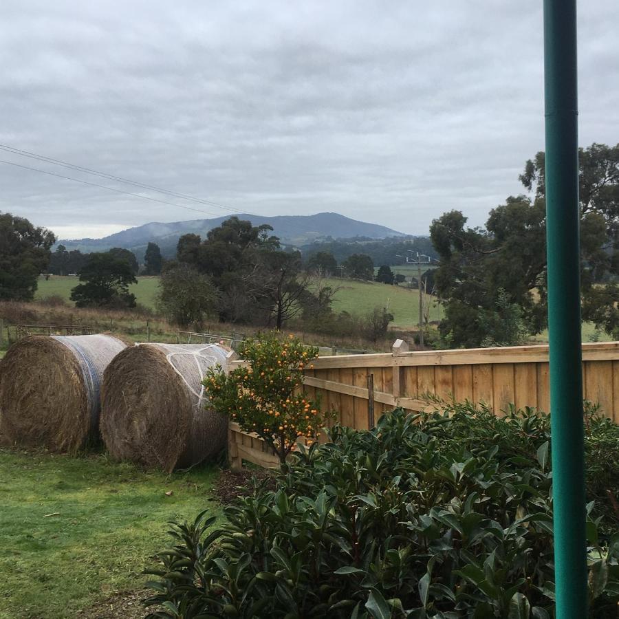 Sunset Cottage - Yarra Valley Healesville Exteriér fotografie