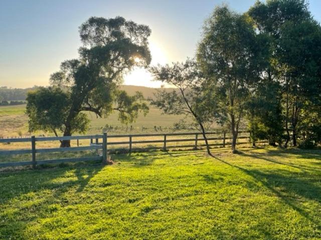Sunset Cottage - Yarra Valley Healesville Exteriér fotografie